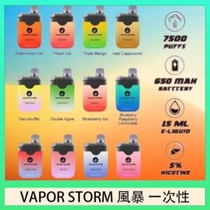 Vapor Storm風暴電子煙7500口（5%）一次性